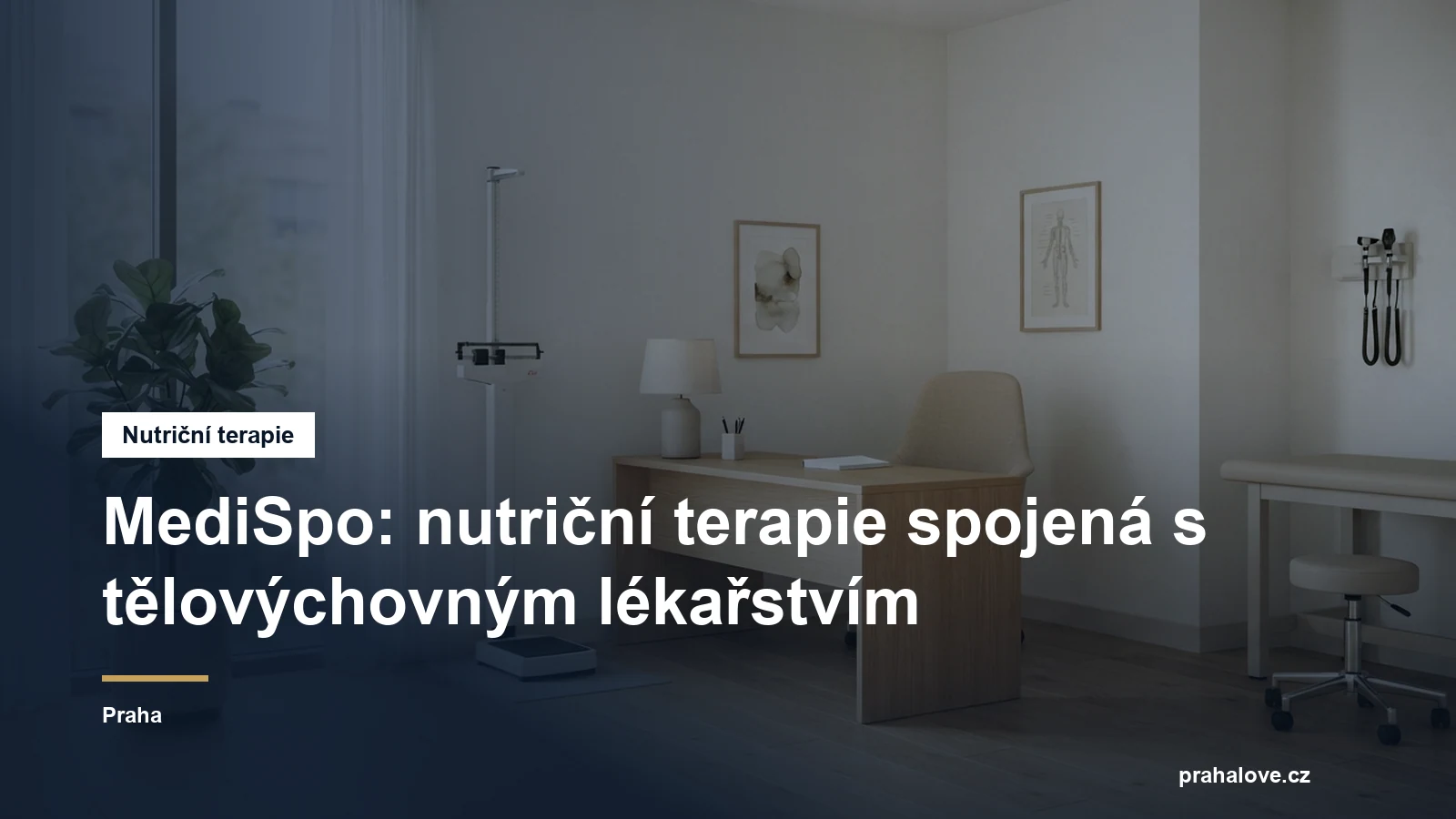 Prostředí nutriční ambulance v Praze