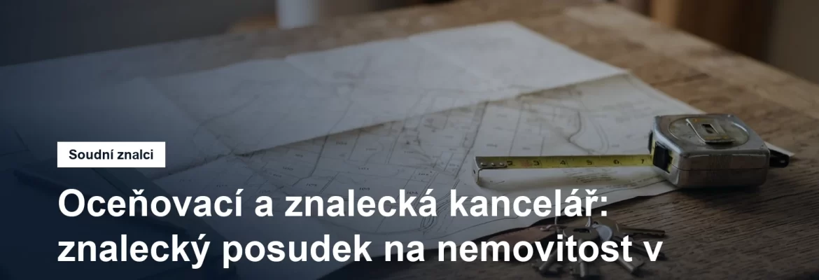 Oceňovací a znalecká kancelář, znalecké posudky na nemovitosti, Václavské náměstí na Praze 1