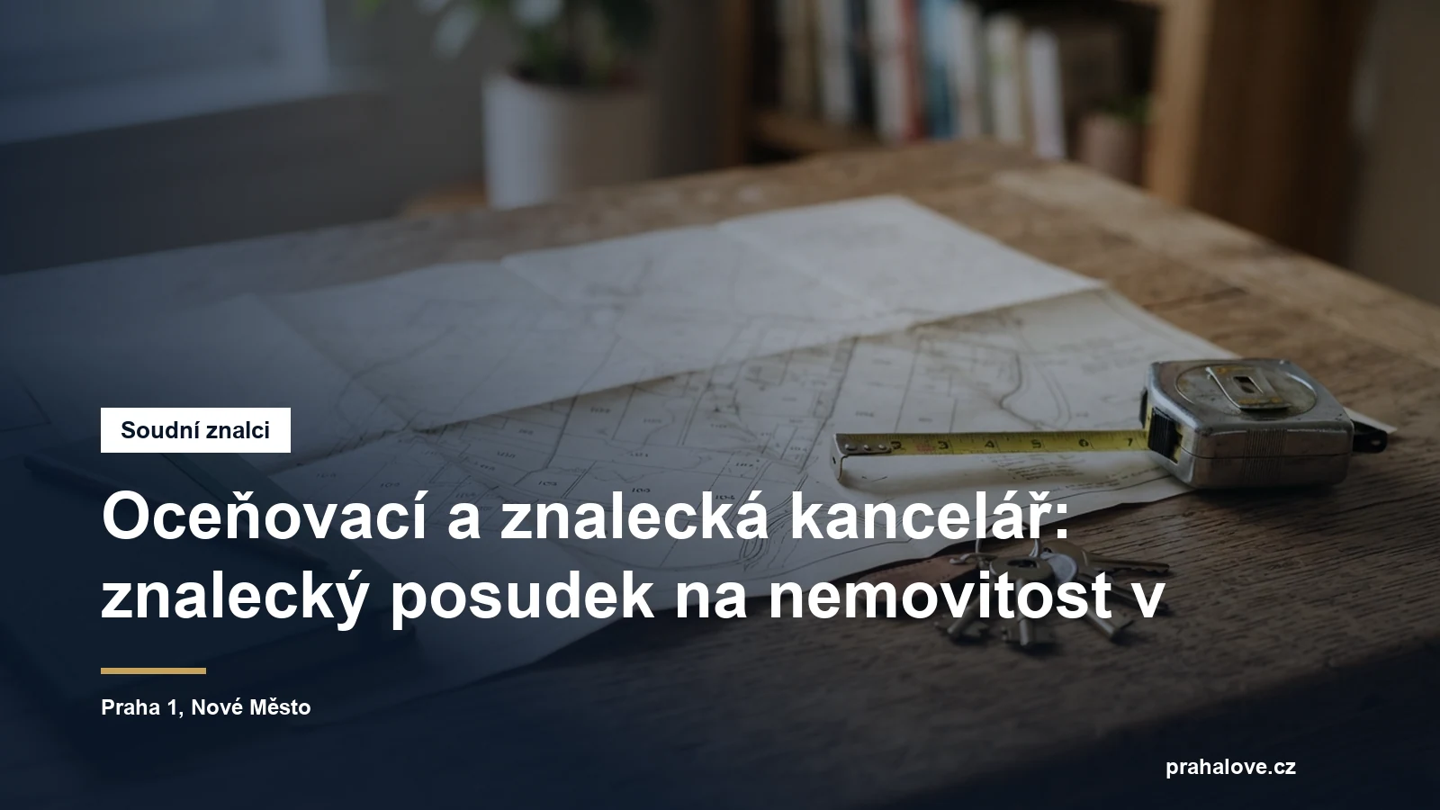 Oceňovací a znalecká kancelář, znalecké posudky na nemovitosti, Václavské náměstí na Praze 1
