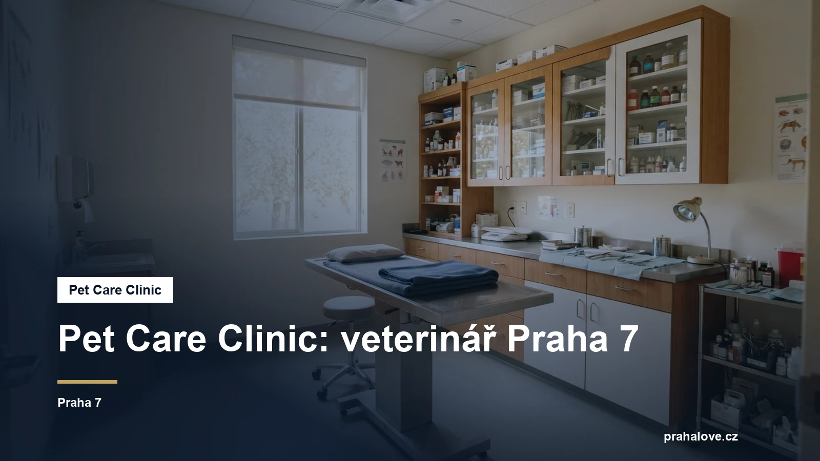 Veterinární ordinace s vyšetřovacím stolem