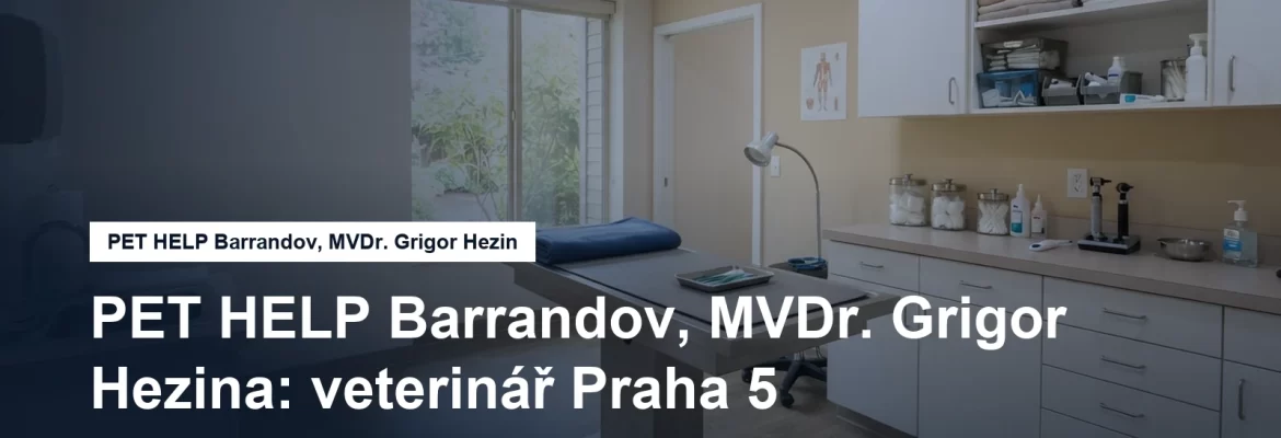Veterinární ordinace s vyšetřovacím stolem