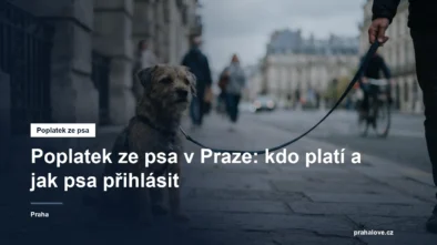 Pes na vodítku na chodníku v městské ulici
