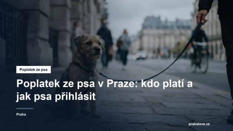 Pes na vodítku na chodníku v městské ulici
