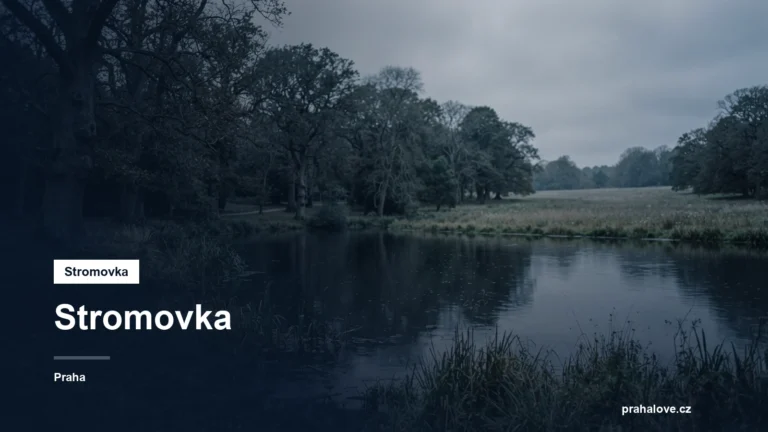 Rozlehlý park s rybníkem a starými stromy