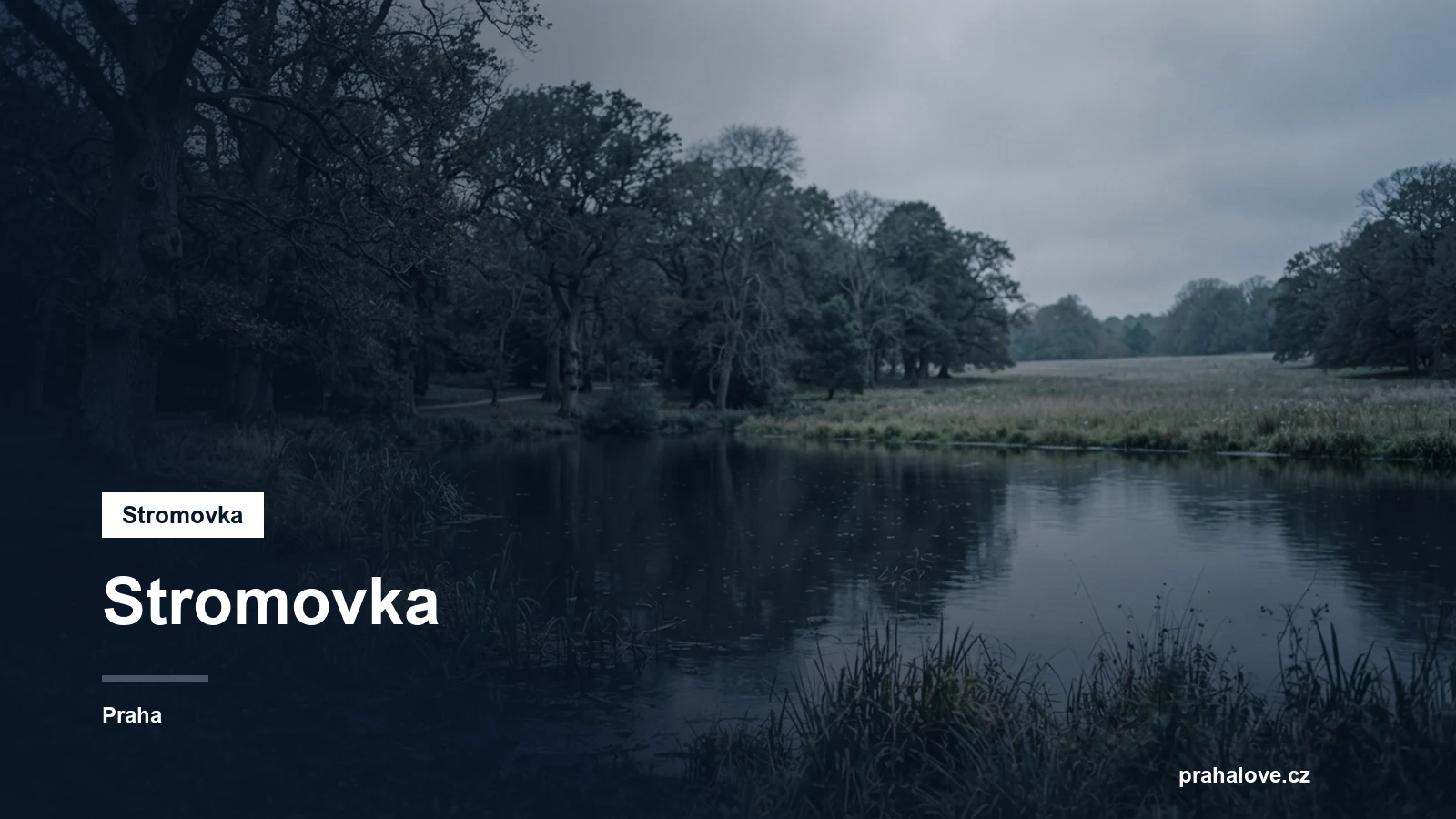 Rozlehlý park s rybníkem a starými stromy