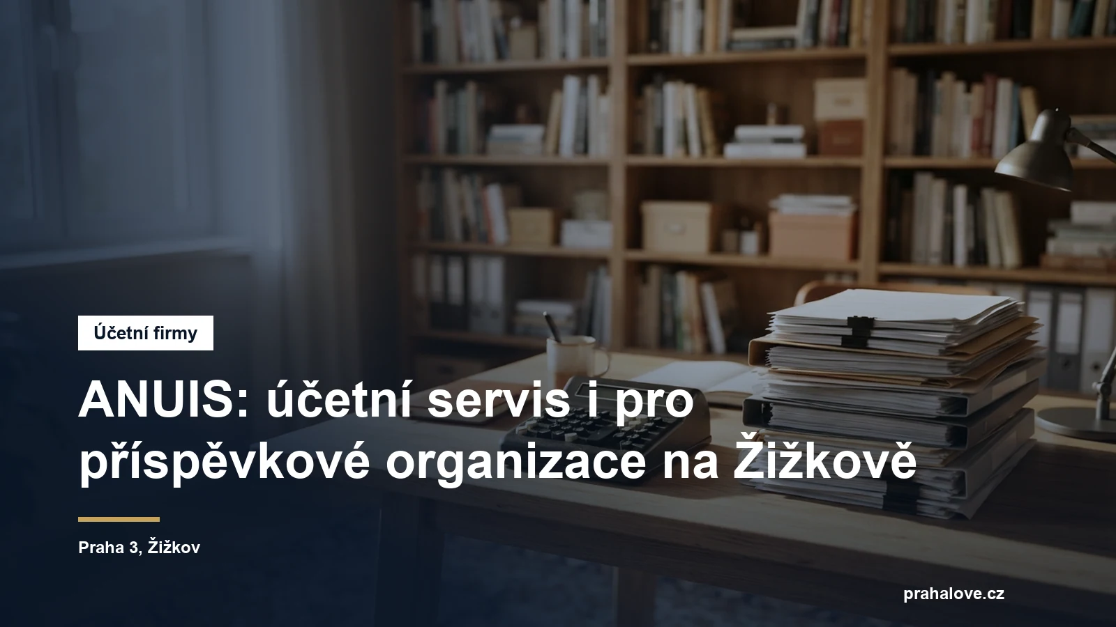 Účetní kancelář na Žižkově v Praze