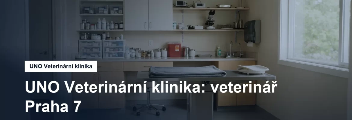 Veterinární ordinace s vyšetřovacím stolem
