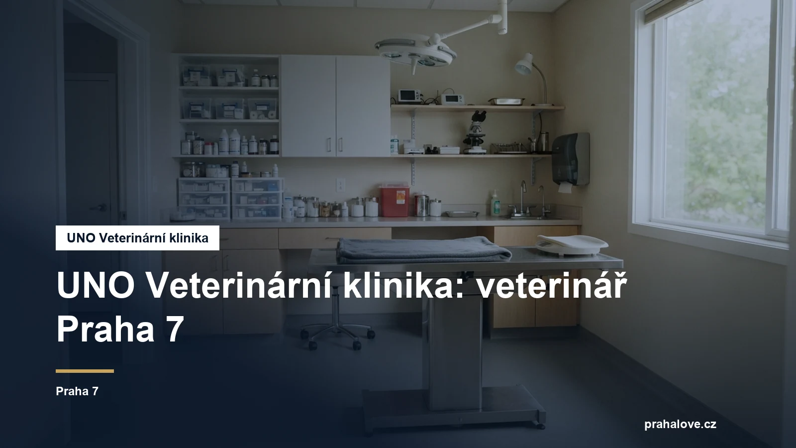 Veterinární ordinace s vyšetřovacím stolem
