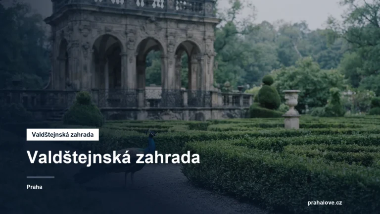 Barokní zahrada se sala terrenou a pávy