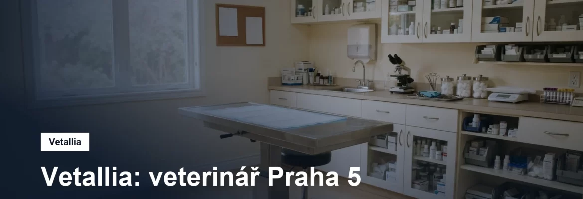 Veterinární ordinace s vyšetřovacím stolem