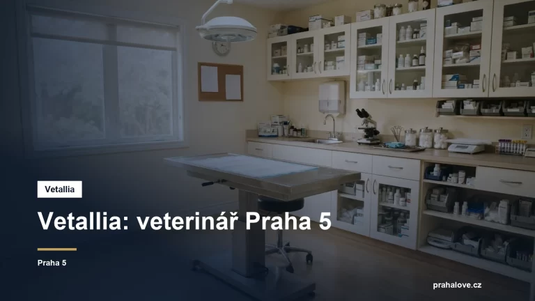 Veterinární ordinace s vyšetřovacím stolem
