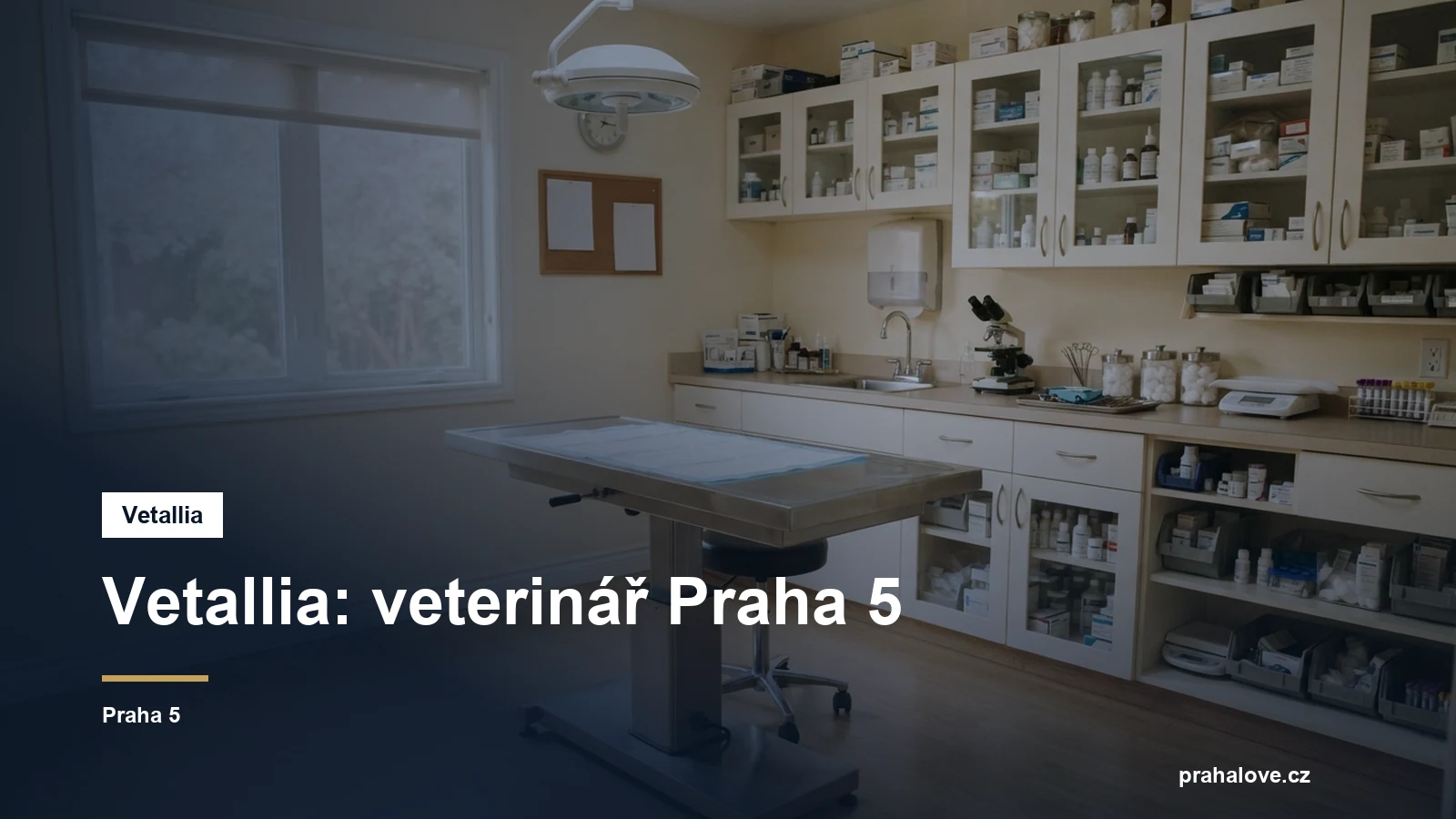 Veterinární ordinace s vyšetřovacím stolem