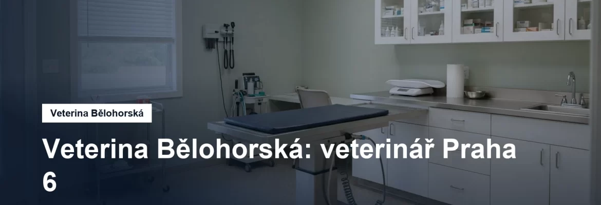 Veterinární ordinace s vyšetřovacím stolem
