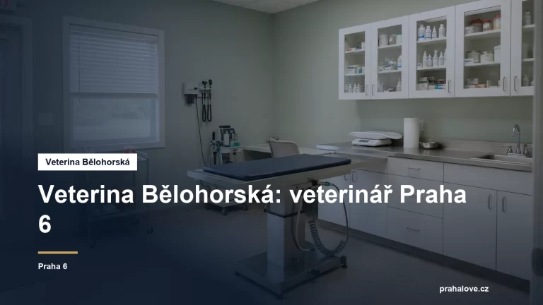 Veterinární ordinace s vyšetřovacím stolem