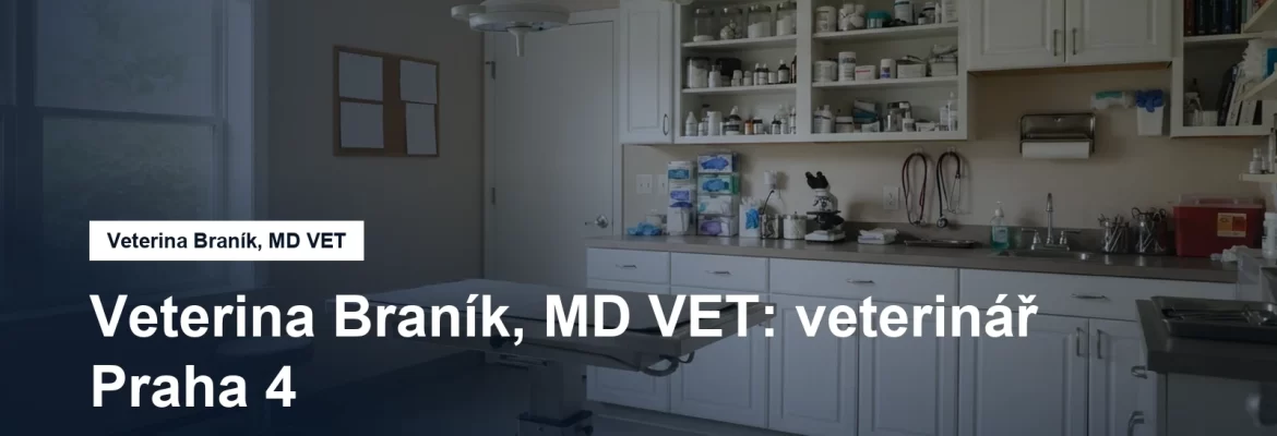 Veterinární ordinace s vyšetřovacím stolem