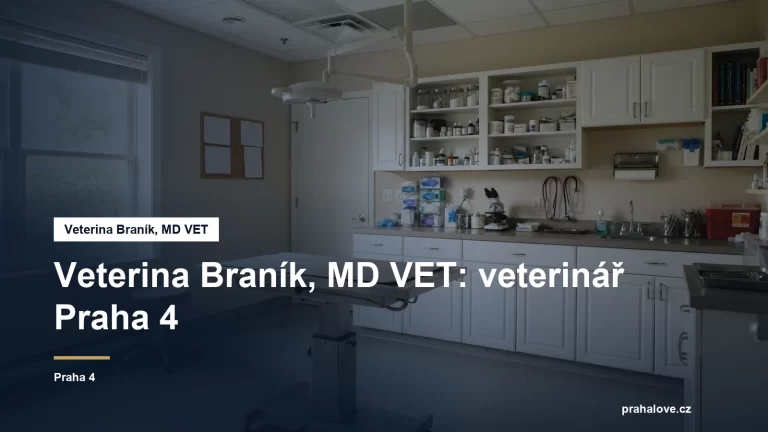 Veterinární ordinace s vyšetřovacím stolem