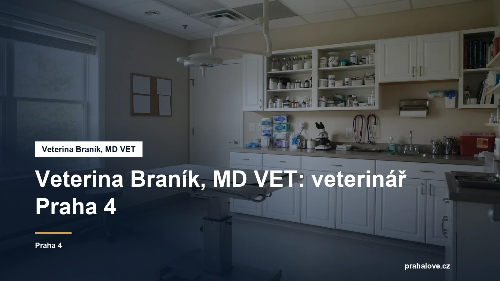 Veterinární ordinace s vyšetřovacím stolem
