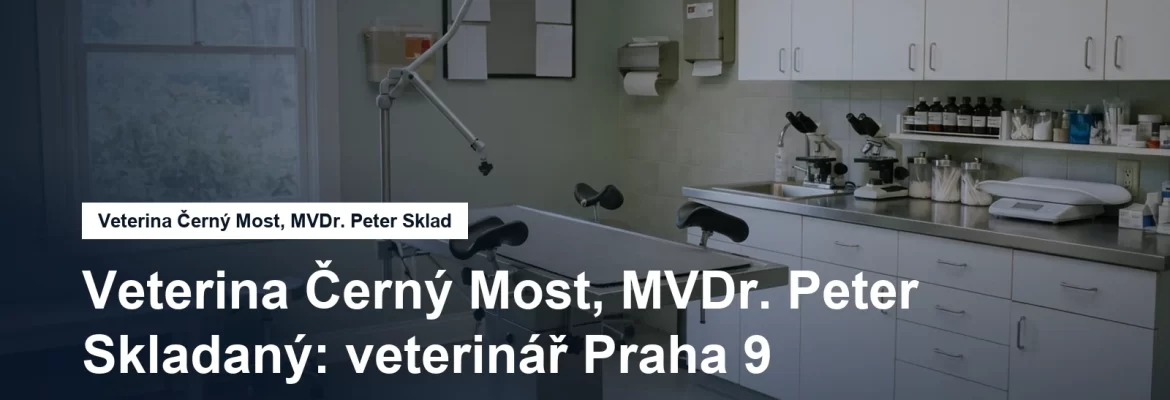 Veterinární ordinace s vyšetřovacím stolem