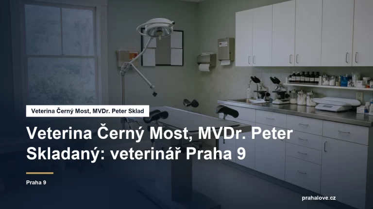 Veterinární ordinace s vyšetřovacím stolem