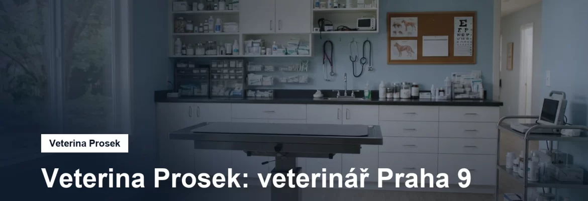 Veterinární ordinace s vyšetřovacím stolem