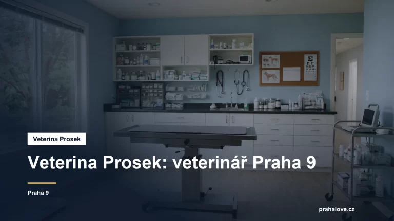Veterinární ordinace s vyšetřovacím stolem