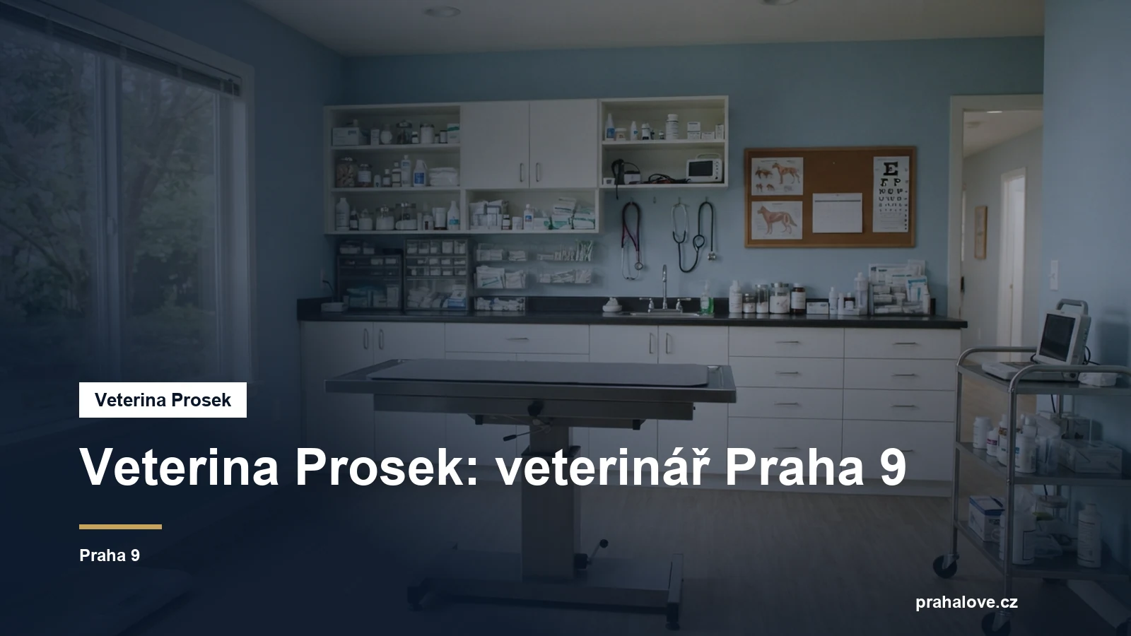 Veterinární ordinace s vyšetřovacím stolem