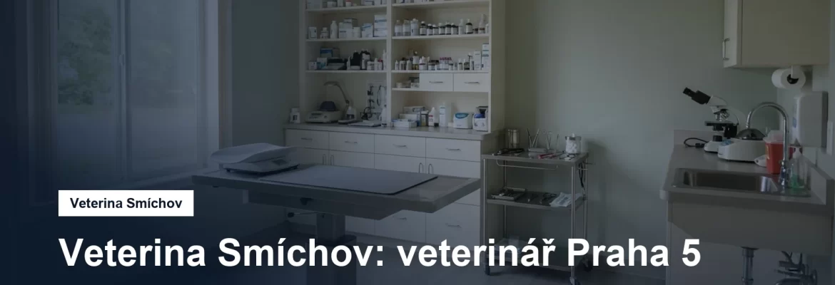 Veterinární ordinace s vyšetřovacím stolem
