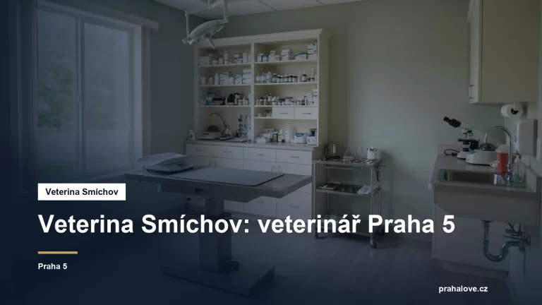 Veterinární ordinace s vyšetřovacím stolem