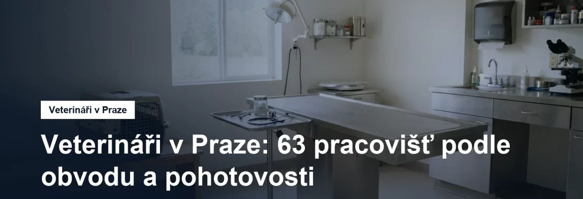 Veterinární ordinace s vyšetřovacím stolem a přepravkou