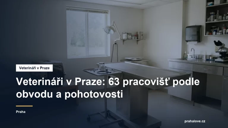 Veterinární ordinace s vyšetřovacím stolem a přepravkou