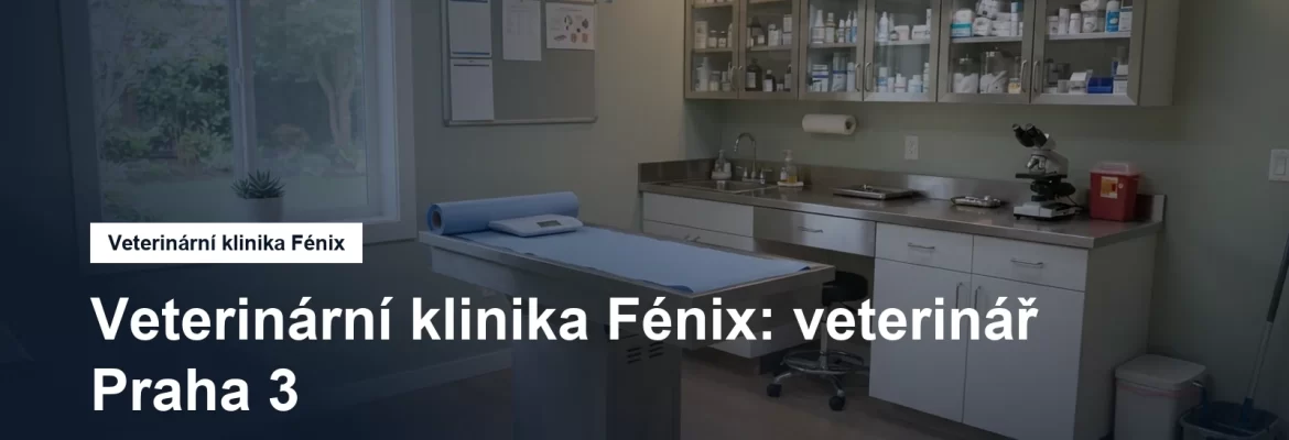 Veterinární ordinace s vyšetřovacím stolem