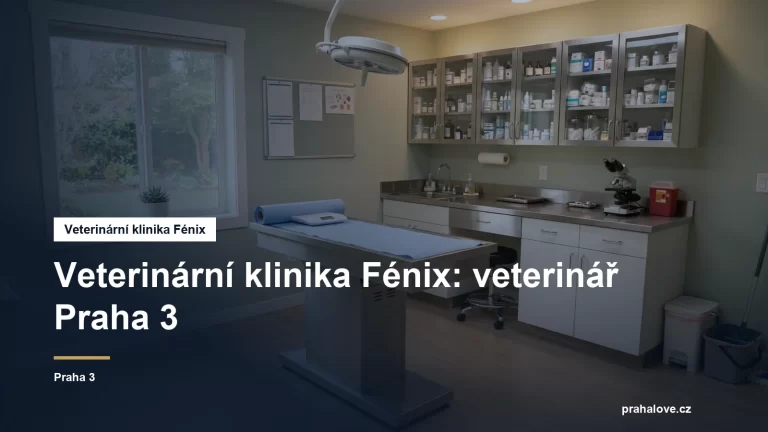 Veterinární ordinace s vyšetřovacím stolem