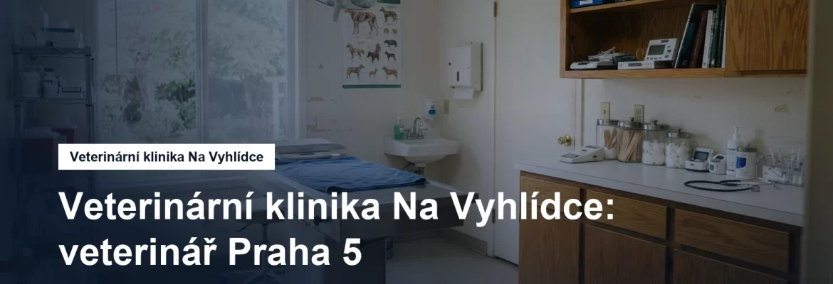 Veterinární ordinace s vyšetřovacím stolem