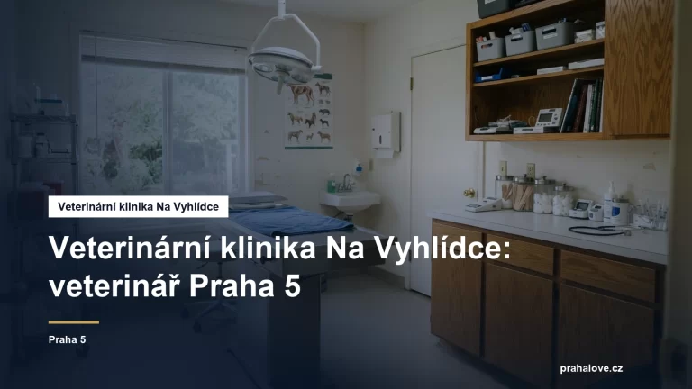 Veterinární ordinace s vyšetřovacím stolem