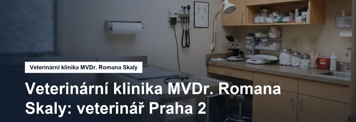 Veterinární ordinace s vyšetřovacím stolem