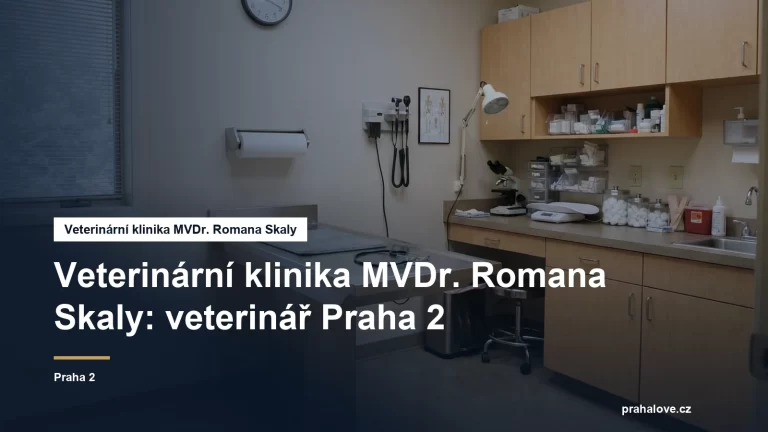Veterinární ordinace s vyšetřovacím stolem