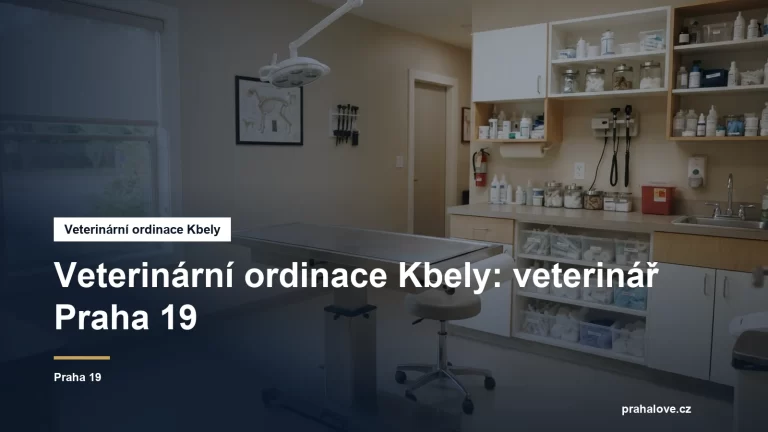 Veterinární ordinace s vyšetřovacím stolem