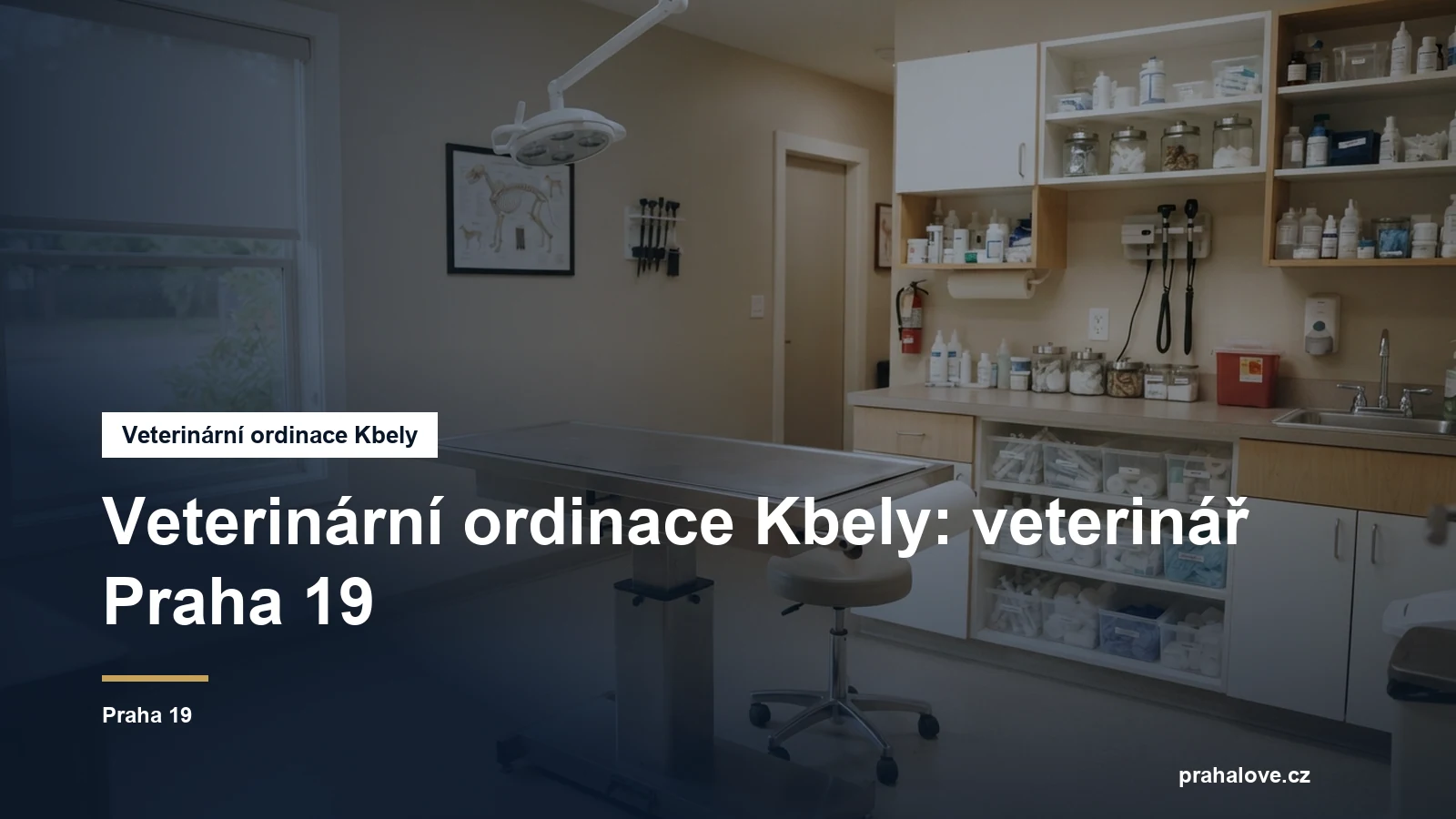 Veterinární ordinace s vyšetřovacím stolem