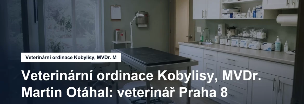 Veterinární ordinace s vyšetřovacím stolem