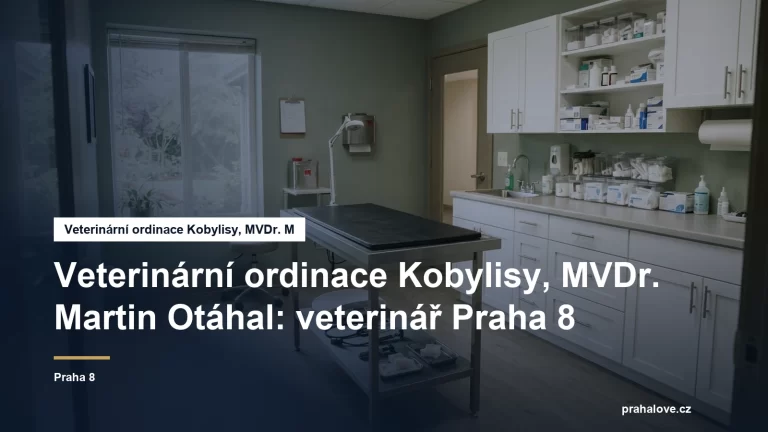 Veterinární ordinace s vyšetřovacím stolem