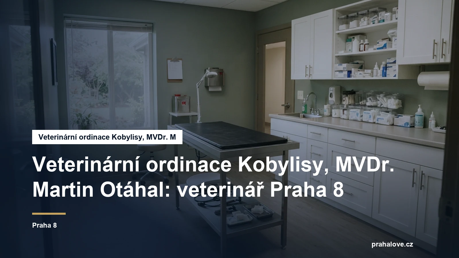 Veterinární ordinace s vyšetřovacím stolem