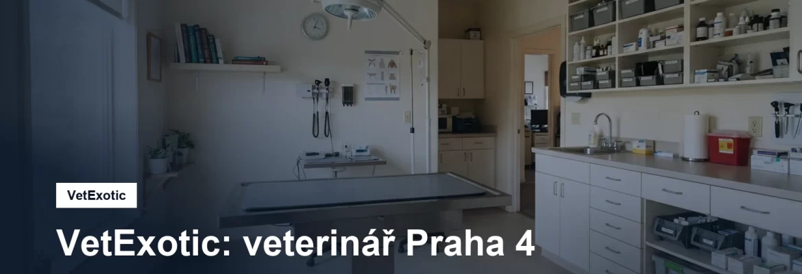 Veterinární ordinace s vyšetřovacím stolem