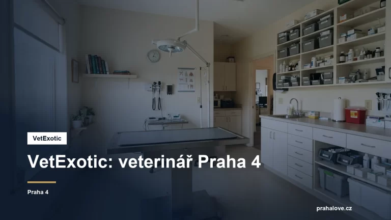 Veterinární ordinace s vyšetřovacím stolem