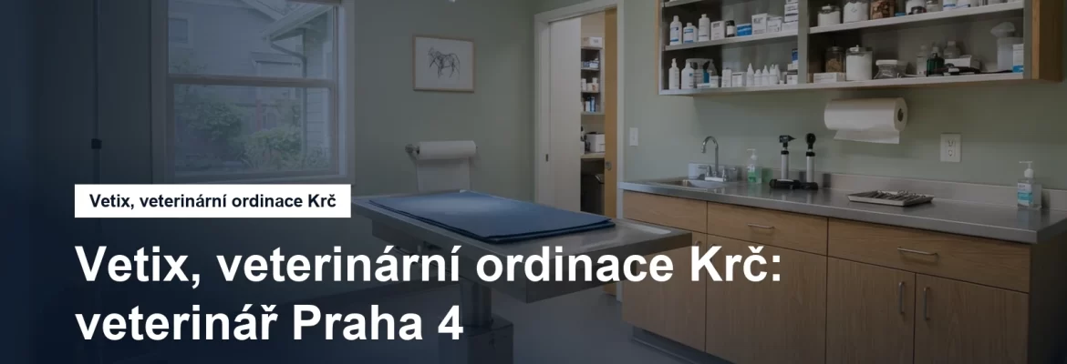 Veterinární ordinace s vyšetřovacím stolem
