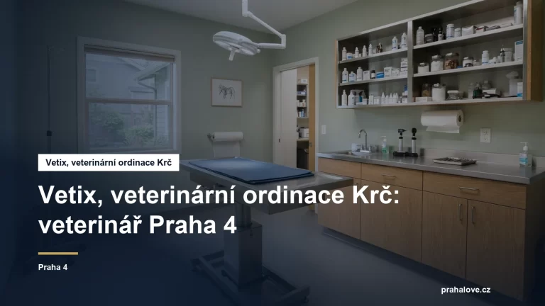 Veterinární ordinace s vyšetřovacím stolem