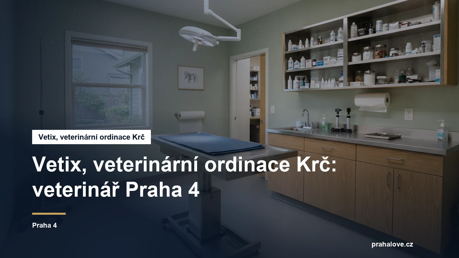 Veterinární ordinace s vyšetřovacím stolem