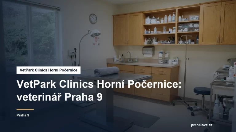 Veterinární ordinace s vyšetřovacím stolem