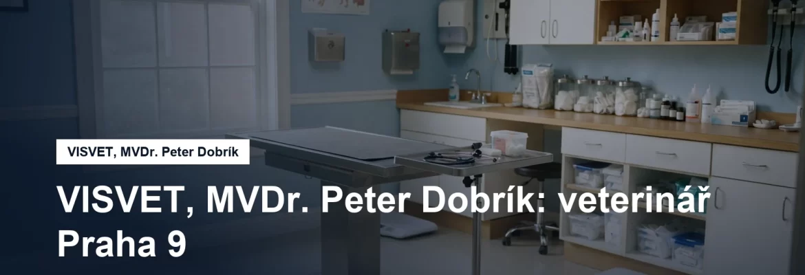 Veterinární ordinace s vyšetřovacím stolem