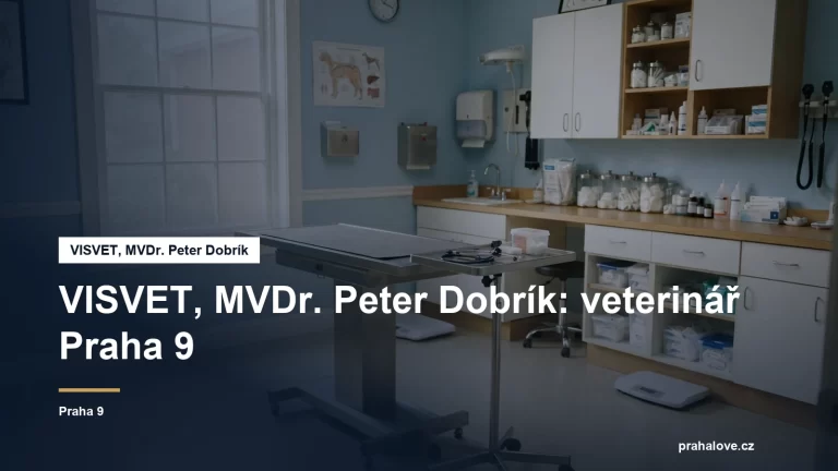 Veterinární ordinace s vyšetřovacím stolem