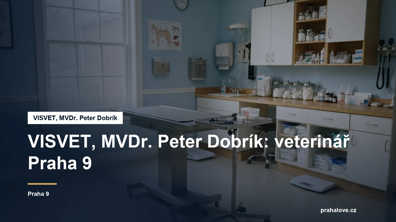 Veterinární ordinace s vyšetřovacím stolem